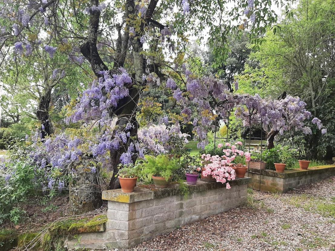 Agriturismo La Romanella Villa Viterbo Luaran gambar